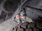2025 Jeep Gladiator Mojave 4x4