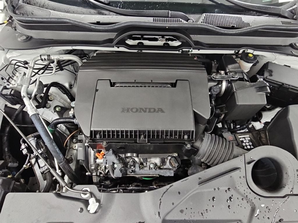 2024 Honda Pilot EX-L 8 Passenger