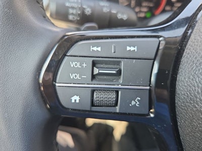2024 Honda Pilot EX-L 8 Passenger